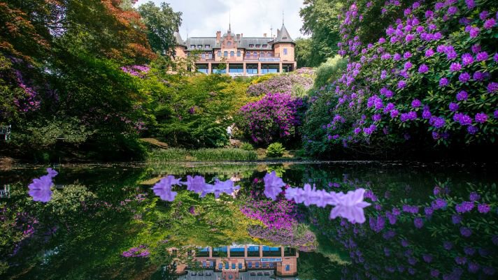 The Sofiero Palace in Helsingborg surrounded by rhododendrons